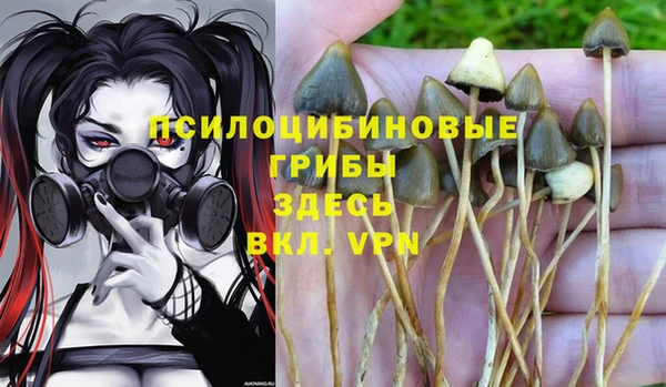кокс Алзамай